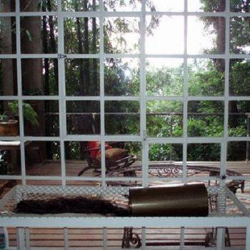 B&B Vitoria Regia Rio de Janeiro Extérieur photo